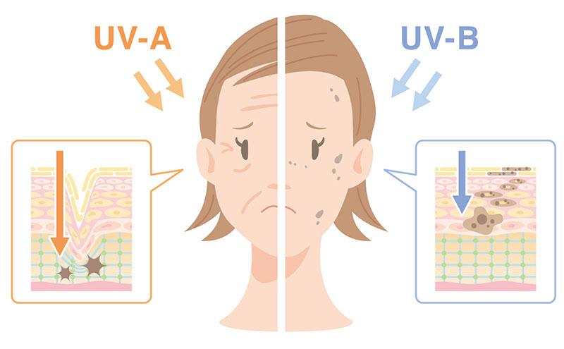肌の奥まで届きシワたるみにつながるUVAと炎症を起こしシミを作る原因になるUVB。