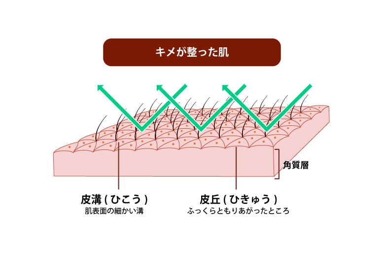 間違えやすいスキンケアの常識＆非常識:肌のキメの画像