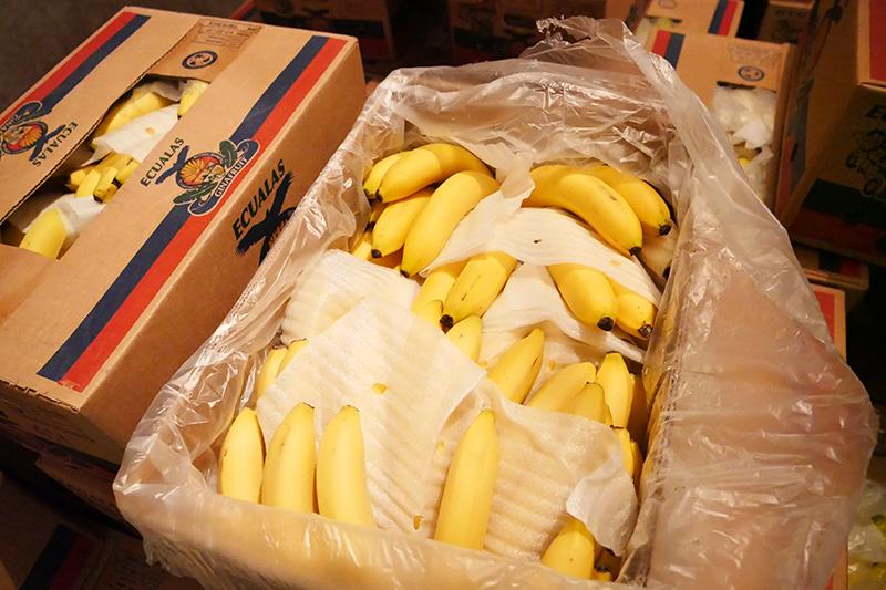 室で成熟したバナナ