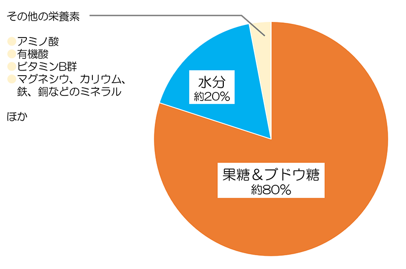 はちみつの栄養素