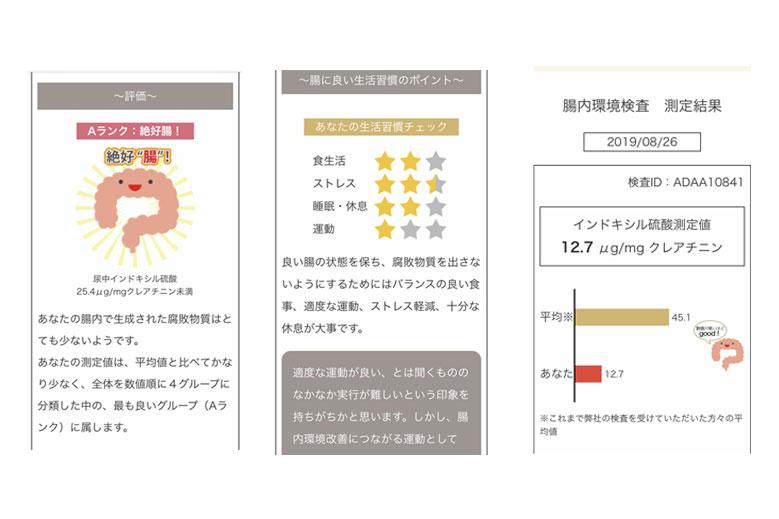 腸内環境検査 結果画面