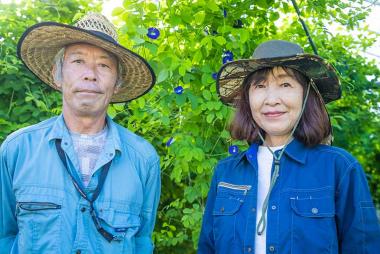 契約農家さんとともに無農薬栽培のバタフライピーを生産している。