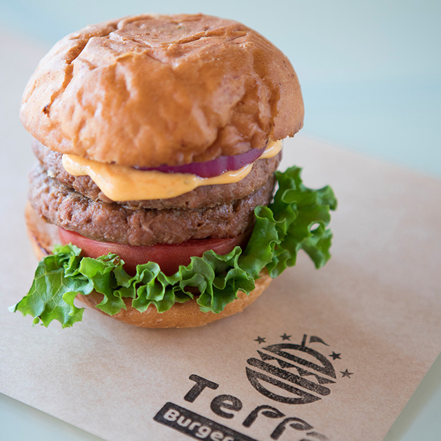 Terra Burger & Bowl （テラ バーガー＆ボウル）